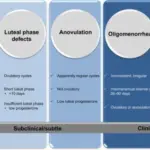 Anovulatory Cycle