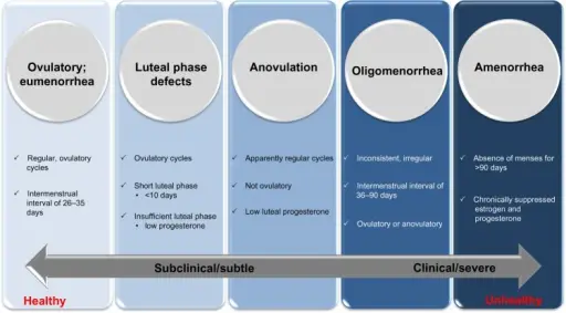 Anovulatory Cycle