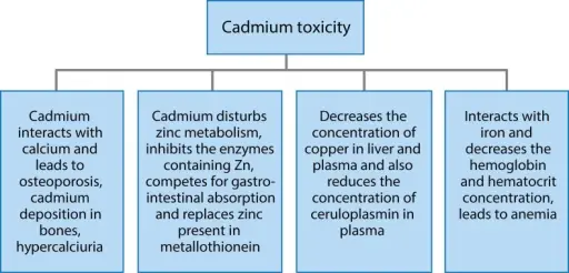 Cadmium Toxicity