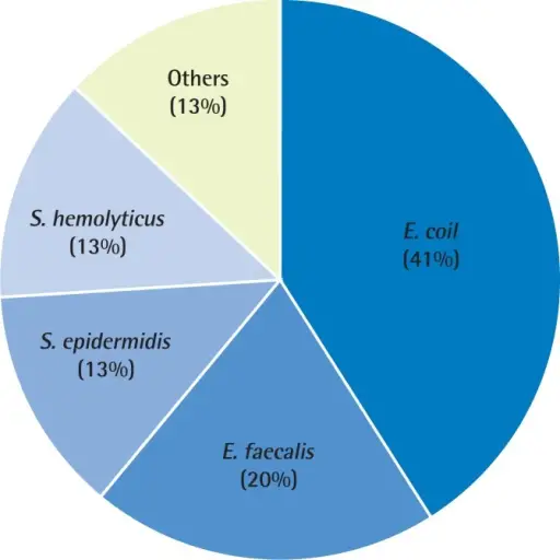 Chronic Bacterial Prostatitis