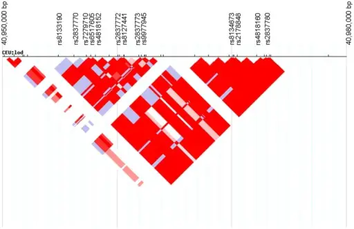 Complex Multigenic Disorders