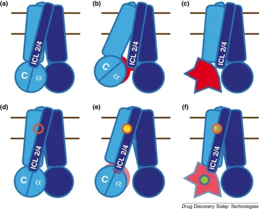 Disorders Associated with Defects in Proteins that Regulate Cell Growth