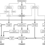 Disseminated Intravascular Coagulation