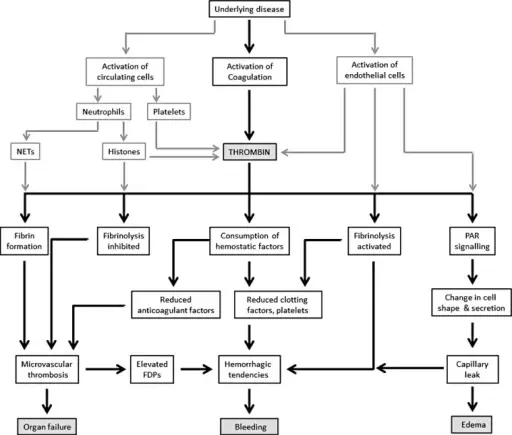 Disseminated Intravascular Coagulation