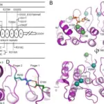 GENETIC DISORDERS