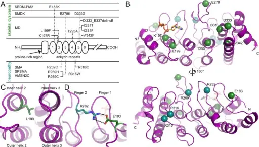 GENETIC DISORDERS