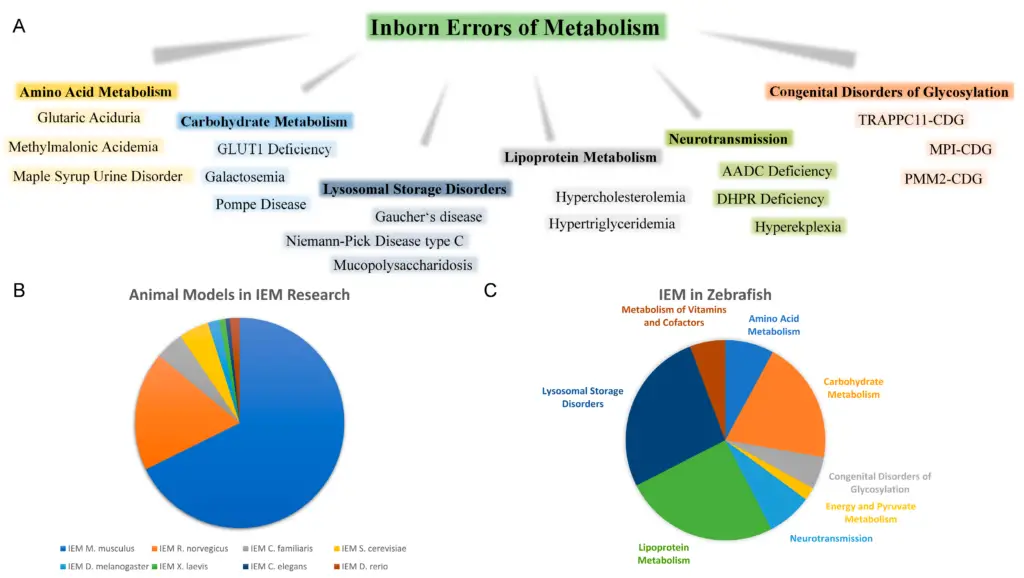 Inborn Errors of Metabolism