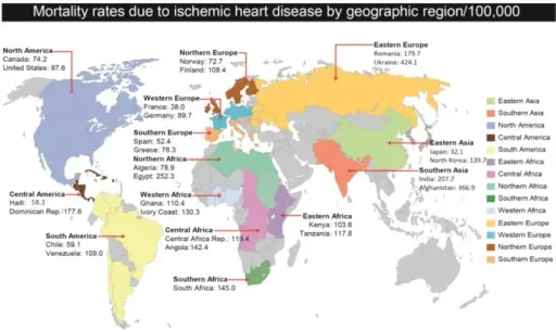 Leading Causes of Death in Developed Countries