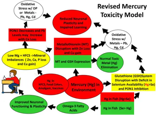 Mercury Toxicity