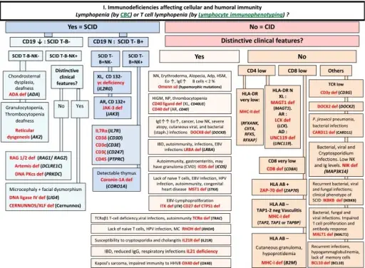 Primary Immunodeficiencies