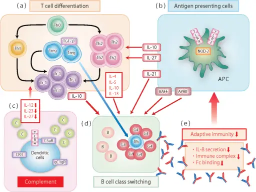 Reactions of Innate Immunity