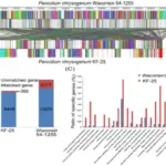 THE GENOME