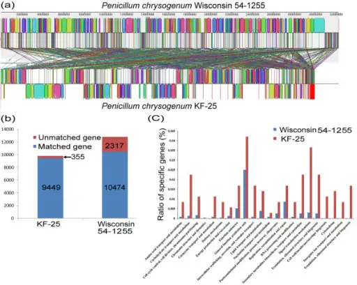 THE GENOME