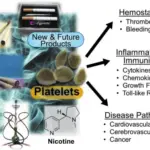 THE PATHOLOGY OF HEMOSTASIS