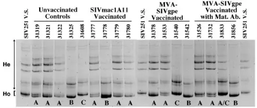 Transmission Patterns of Single Gene Disorders