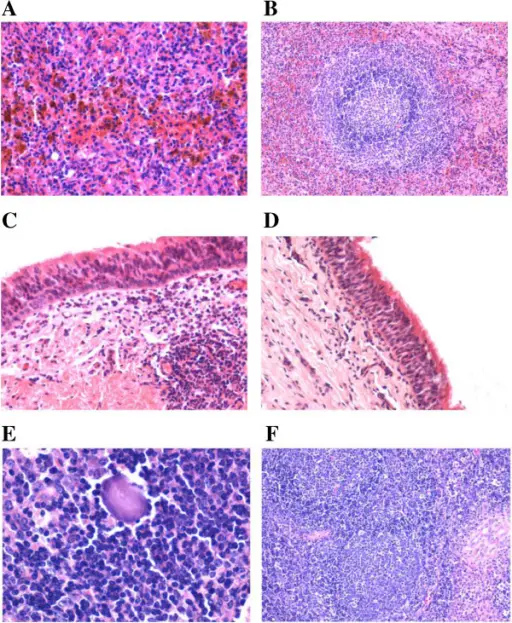 Viral Gastroenteritis