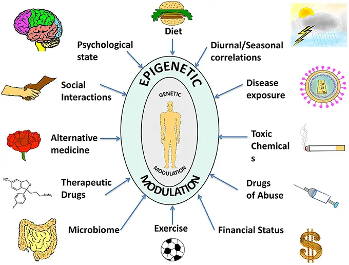 epigenetics