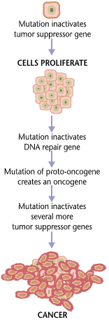 Carcinogenesis