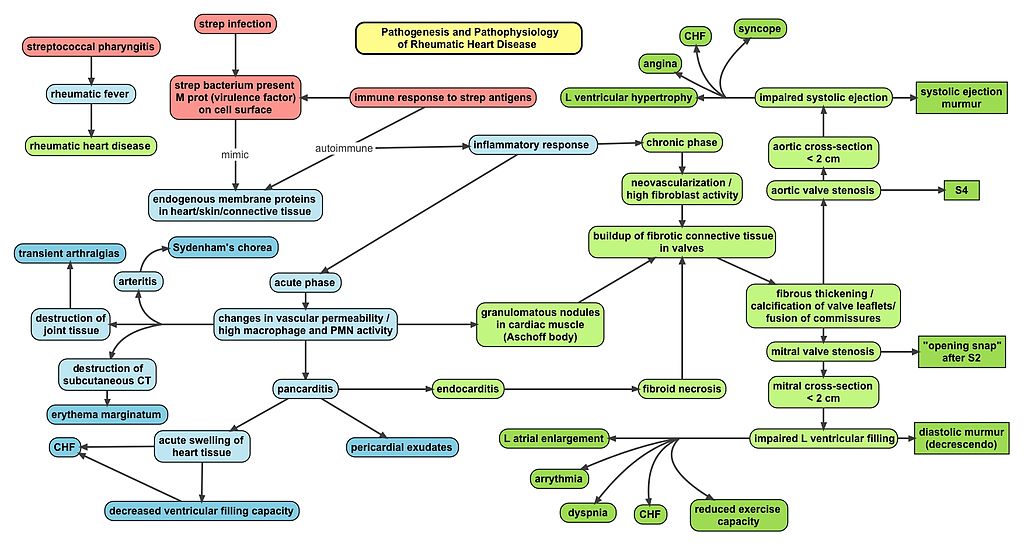 Chronic Rheumatic Heart Disease