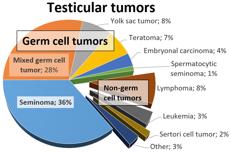Germ Cell Tumors