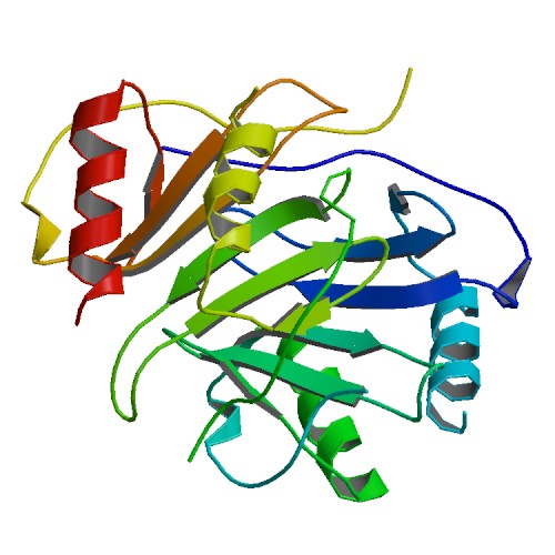 Heparin Induced Thrombocytopenia