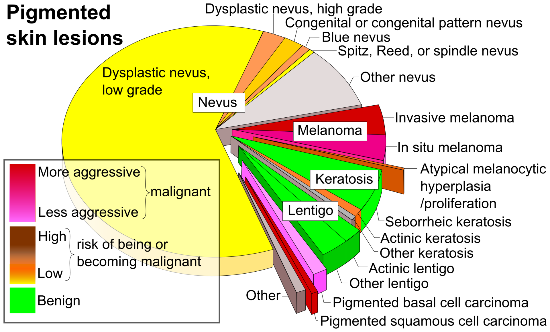 Pigmented skin lesions graph