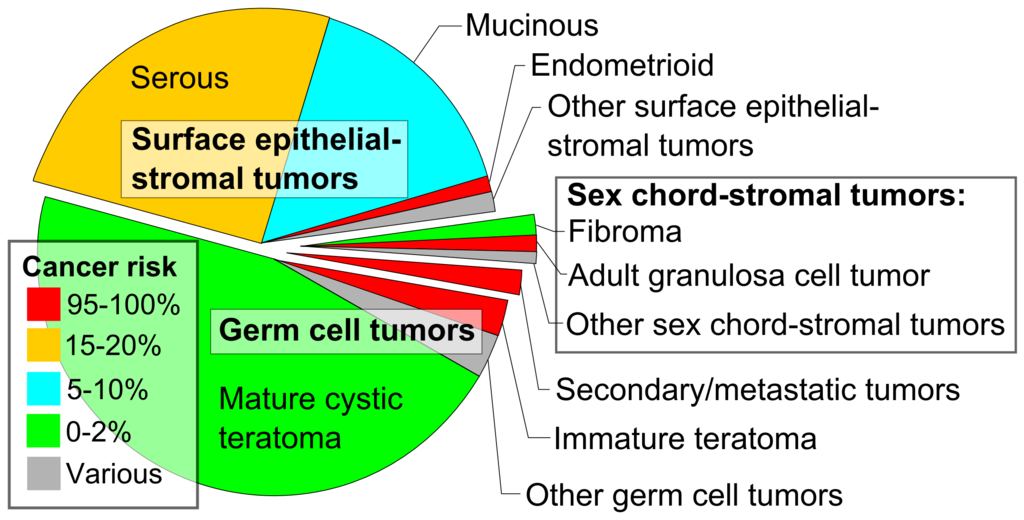 Ovarian Tumors