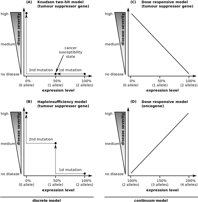 Tumor Suppressor Genes