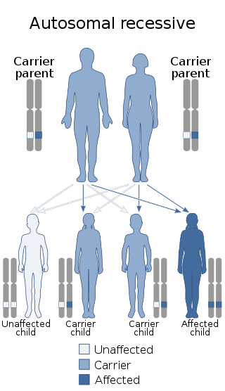 Werdnig-Hoffman Disease